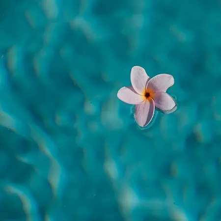 Palazzo Frangipane 4* Salve