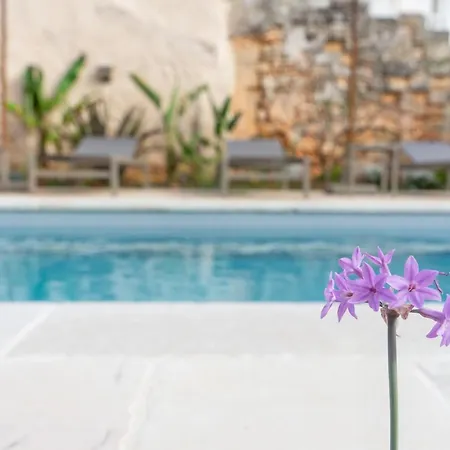 Palazzo Frangipane Bed & Breakfast Salve